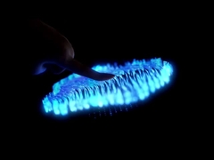 Heng Cheng Electronics Technology ((HK) Co., Ltd. también está involucrado en el proyecto.